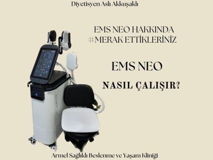 EMS NASIL ÇALIŞIR?