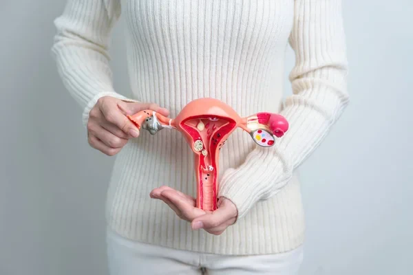 pcos-ta-hangi-takviyeler-kullanilmalidir