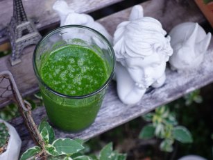 Tok Tutan Yeşil Detoks (Yeşil Güç)