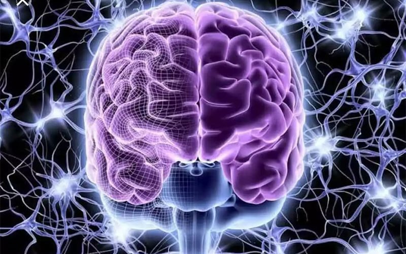 norolojik-unutkanlik