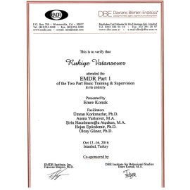 2-EMDR-Basic-Traning