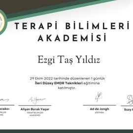 1-İleri-duzey-EMDR-teknikleri