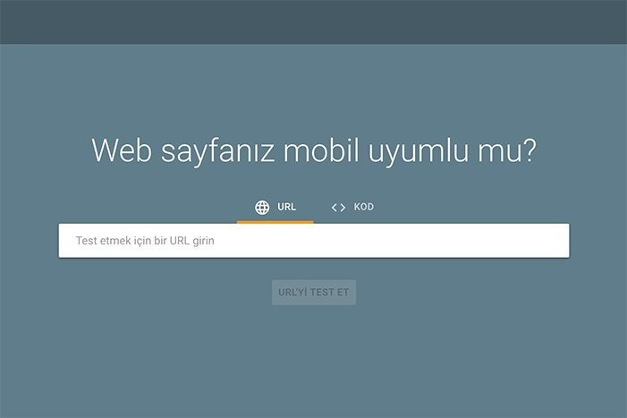 Google Mobile-Friendly test ekran görüntüsü