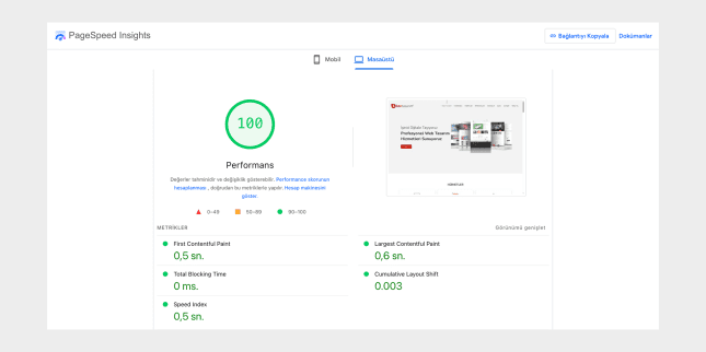 PageSpeed Insights ile Web Site Performans Ölçümü