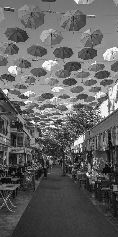 Antalya web tasarım