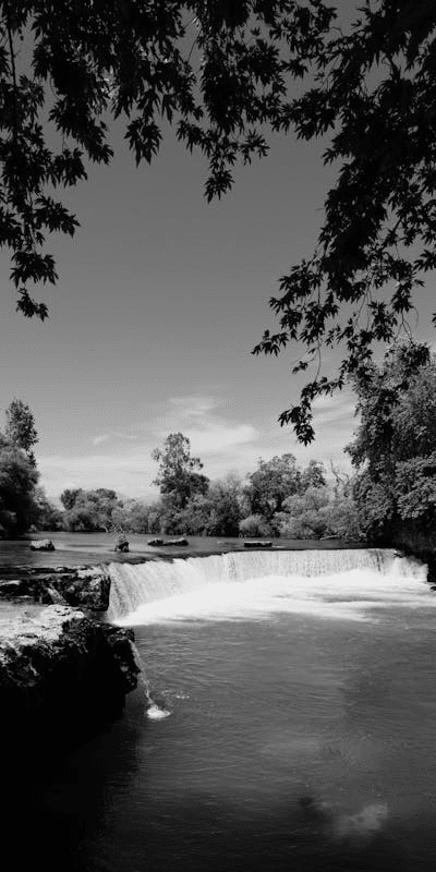 Manavgat Web Tasarım