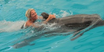 Туры Для Свадебных Групп