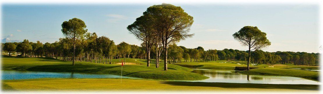 свадьба класса люкс в Турции/ роскошная свадьба в Турции