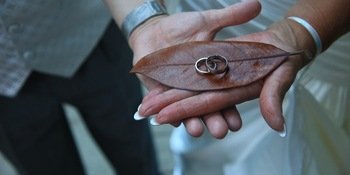 Дай Свободу Своим Мечтам О Сказочной Свадьбе