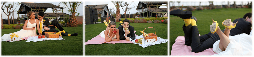 international wedding operator