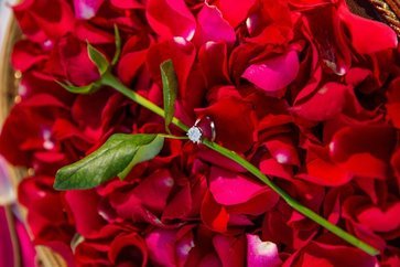 1-Организация Предложения Руки и Снрдца в Анталии 2020