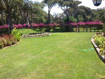 Отелей Regnum Carya