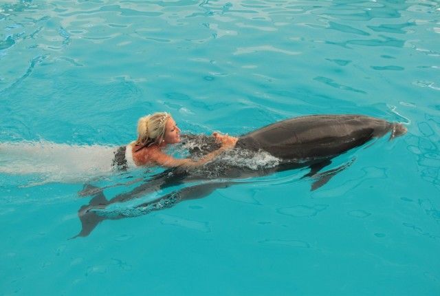 свадьба в аквариуме