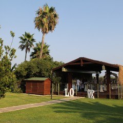 Свадьба на природе