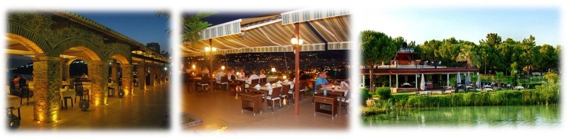 لحظات ویژه عروسی