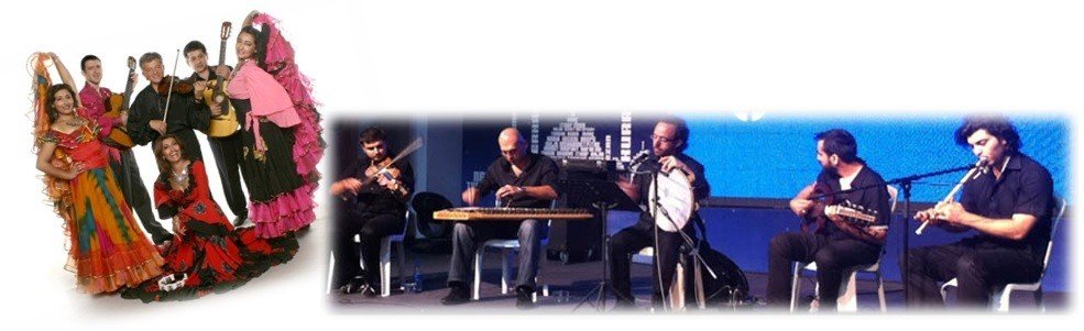 موسیقی عروسی در ترکیه