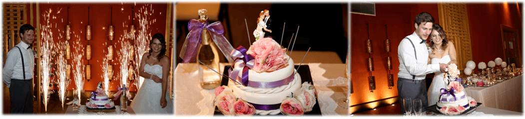 عروسی پارسی در آنتالیا