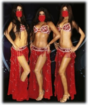 ارگانیزاتور عروسی ایرانی در ترکیه