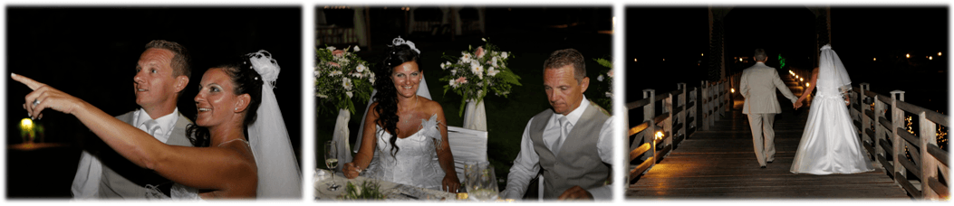 ارگانیزاتور عروسی ایرانی در ترکیه