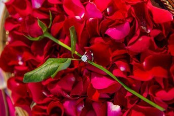 اورگانیزایسون مراسم خواستگاری در آنتالیا ترکیه