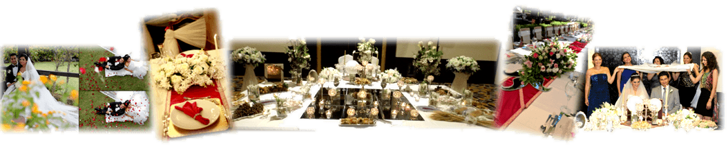 Iranian Wedding Planner in Antalya