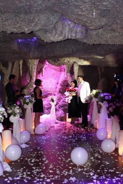 عروسی ایرانی در آکواریوم پارک آنتالیا