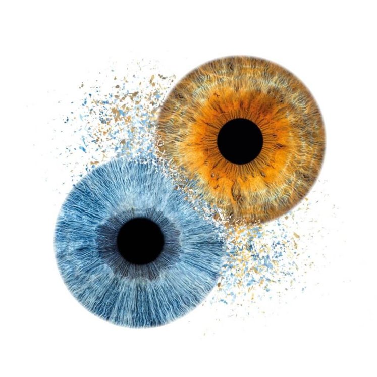 ikili_iris_tablo-1024x1024