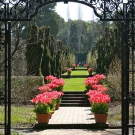 kod 07 ferforje taç