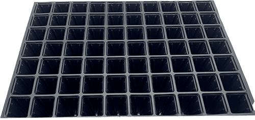 70K Gözlü Fide İnsörtü