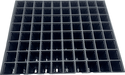 80K Gözlü Fide İnsörtü