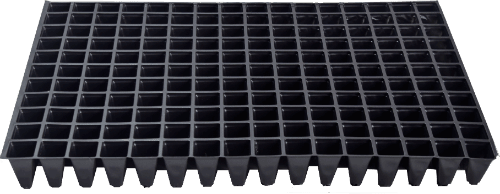 352 Gözlü Fide İnsörtü