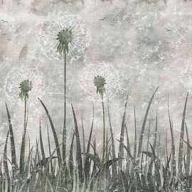 WG-132_dandelion plant flower