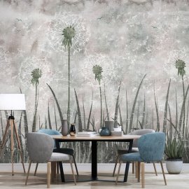 WG-132_dandelion plant flower_g