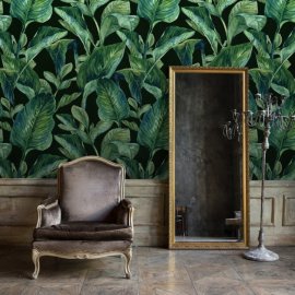 WG-159_Monstera tropical plant_g