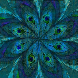 WG-1015_2100-001_Peackok Star