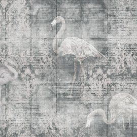 WG-793_2739-001_Tutin 