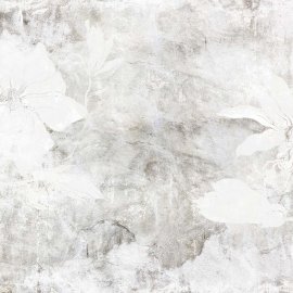 WG-570_Fryenova_2136-001