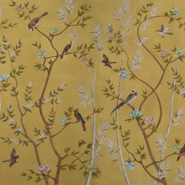 WG-600_2698-001_Capo Testa