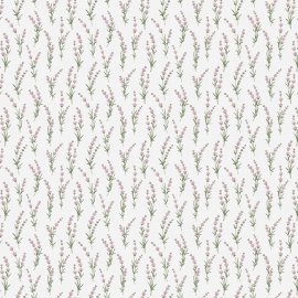 WG-603_2701-001_Puglia