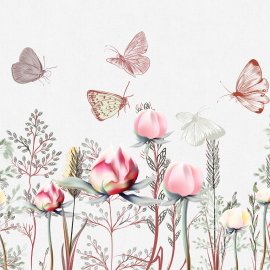 WG-605_2703-001_San Fruttuoso