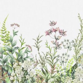 WG-609_2707-001_Viareggio