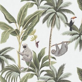 WG-611_2709-001_Monte Argentario