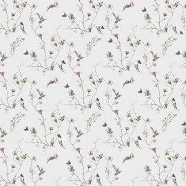 WG-624_2722-001_Olbia