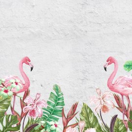 WG-626_2724-001_Rimini