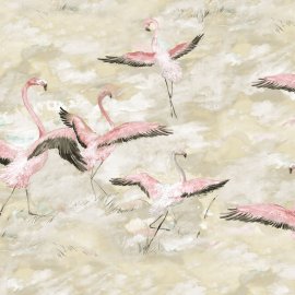 WG-645_Pinky Wings_2546-001