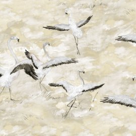 WG-646_Dancing Wings_2547-001