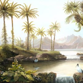 WG-691_ Panoramic_2124-001_Kapak-sol