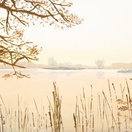 WG-700_Autumn_2205-001