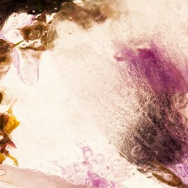 WG-703_Mystic_2210-001