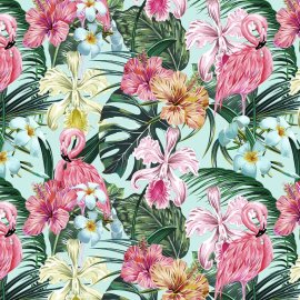 WG-716_Carnaval_2465-001